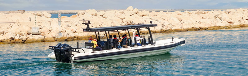 NEOM 12m Rigid Inflatable boat