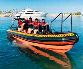Commercial Boats -Work Boats - Professional Boats