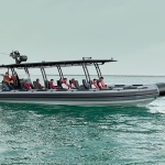 fiberglass transport and tour rib boat 12m