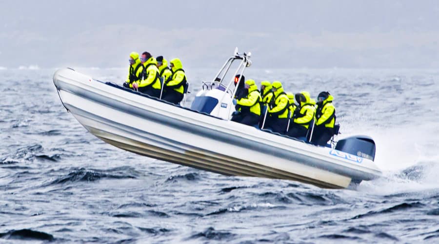 fiberglass tour boat 8.0
